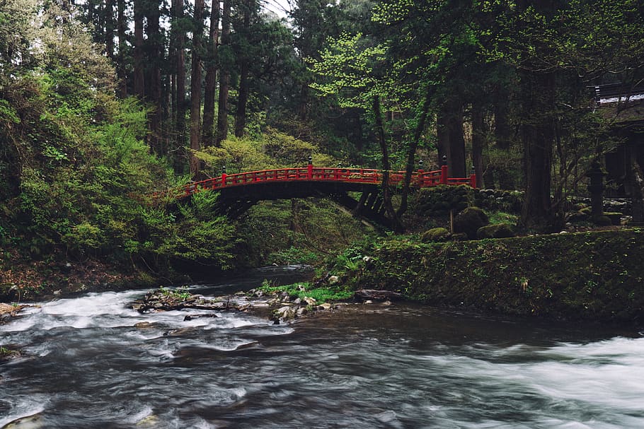 red bridge above river during day, water, outdoors, nature, creek HD wallpaper