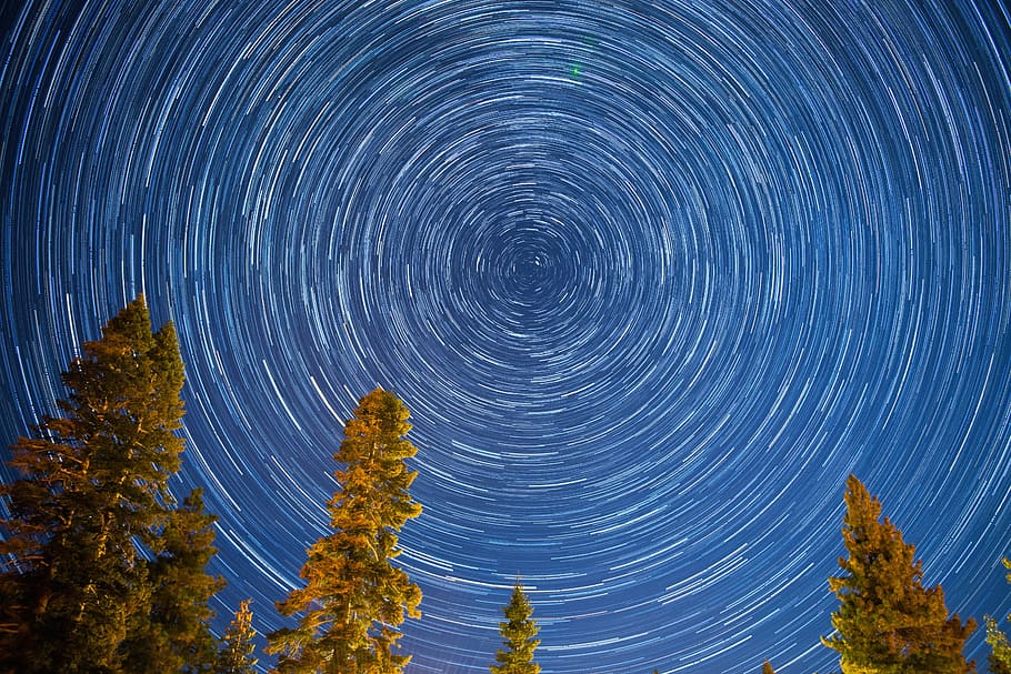 brown-leafed tree illustration, night, star, sky, blue, long exposure HD wallpaper