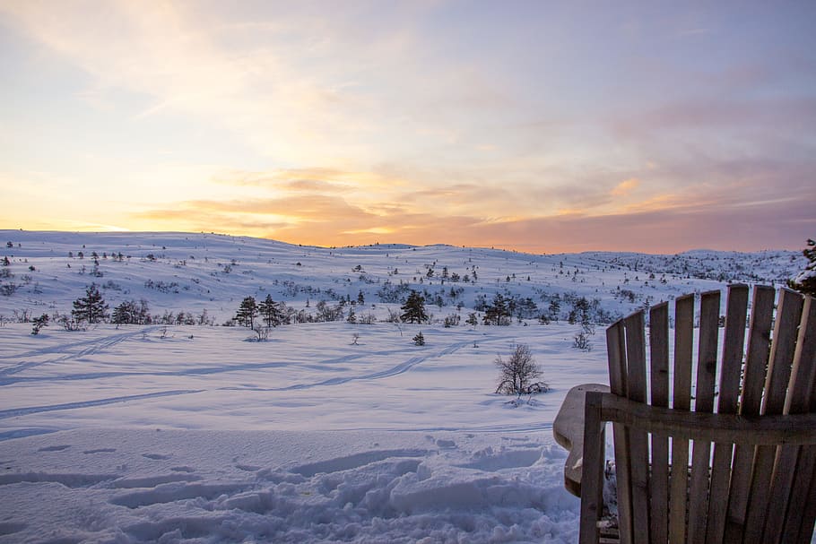 sunset, snow, landscape, beautiful, view, red, sky, tree, bush HD wallpaper
