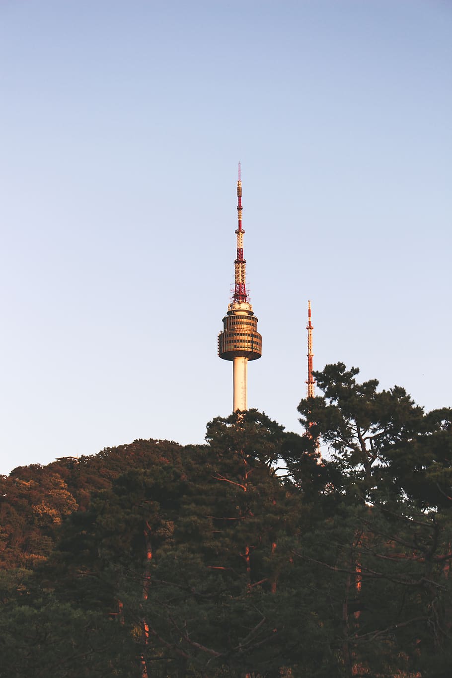 brown and black tower, steeple, architecture, building, spire HD wallpaper