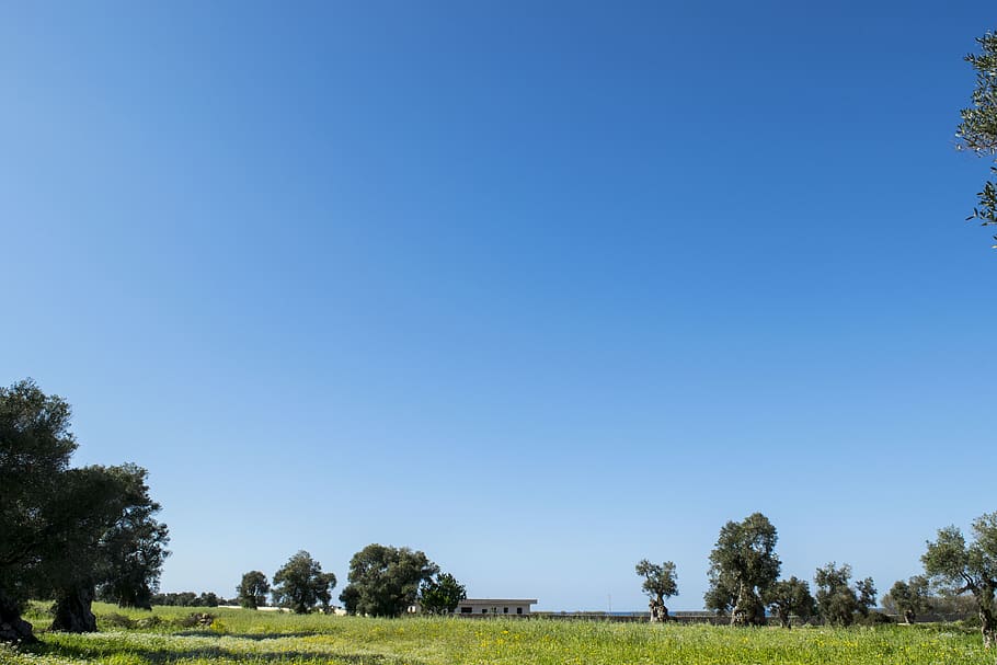 sun, sky, blue, nature, summer, wow, wallpaper, background HD wallpaper