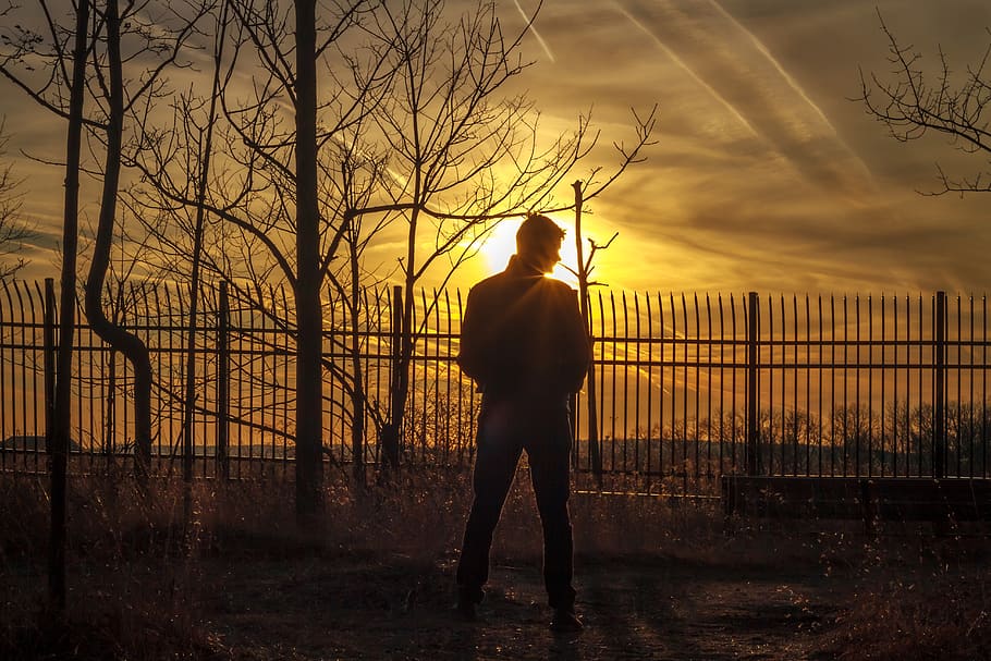 sunset, man, boy, forest, silhouette, male, one person, barrier HD wallpaper