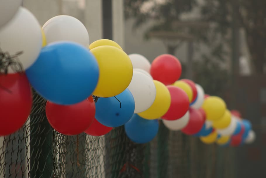 multi colored, balloon, no people, day, decoration, celebration HD wallpaper
