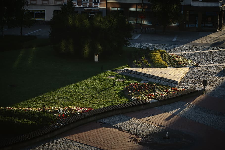 square, flowers, sunset, pave, road, main, shadows, architecture HD wallpaper