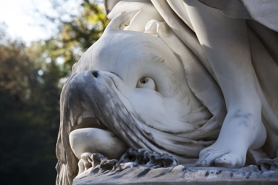 dolphin, sculpture, marble, texture, art, sage, representation HD wallpaper