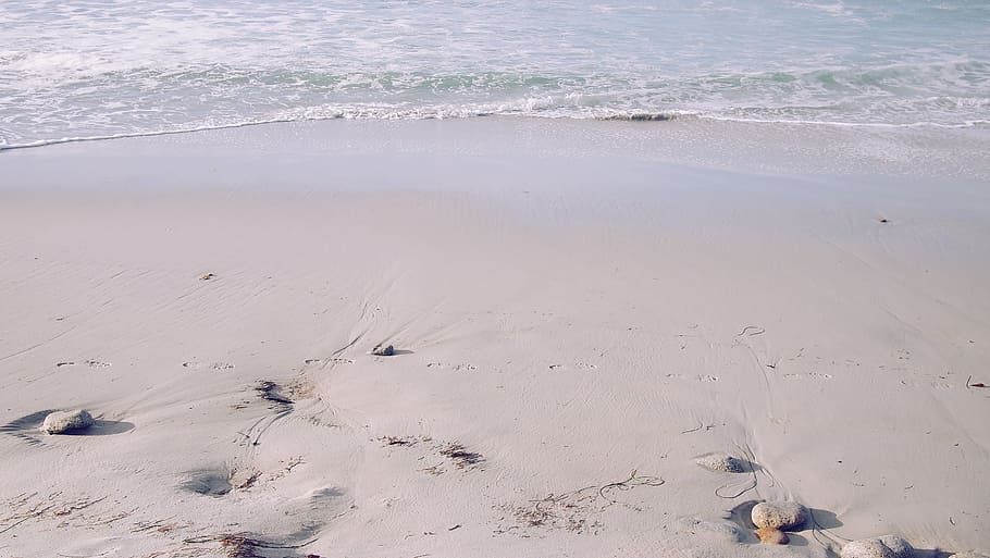 beach, gray, pink, sand, sea, shore, summer, water, land, nature HD wallpaper