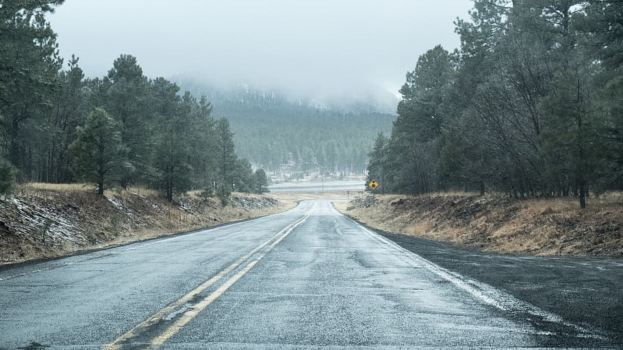 road, path, turn, trees, forest, snow, blizzard, blizard, transportation HD wallpaper