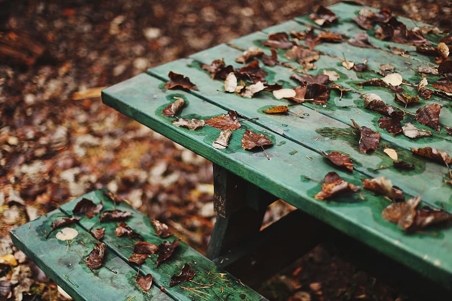 brown withered leaves on green wooden picnic table, lost, fall HD wallpaper