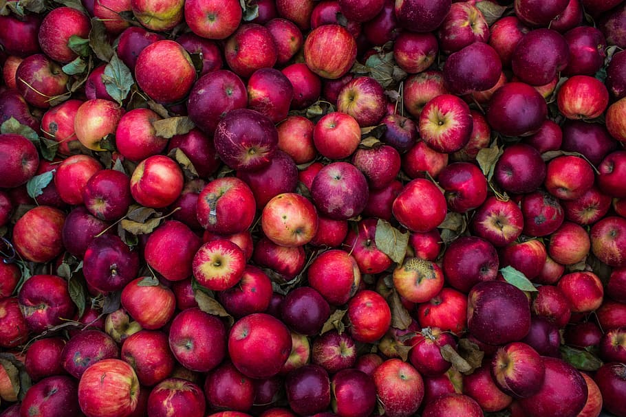 red apple lot, fruit, food, leaf, fresh, pattern, background HD wallpaper