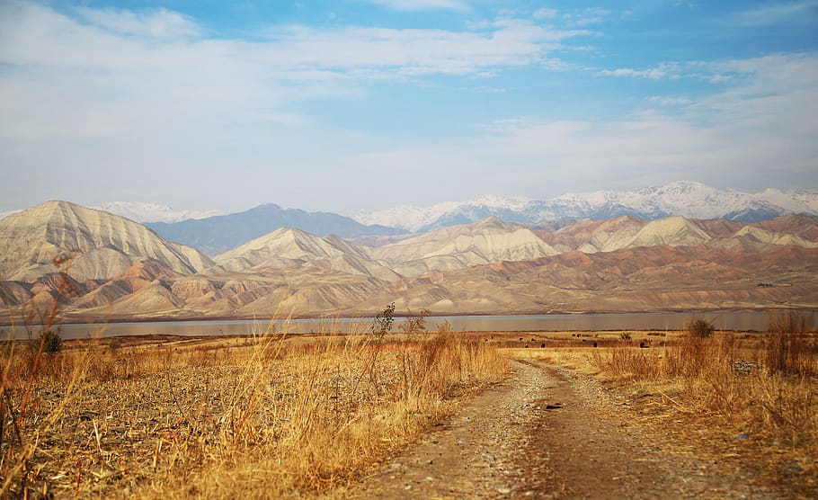 dry, drought, grass, mountain, highland, landscape, view, cloud HD wallpaper