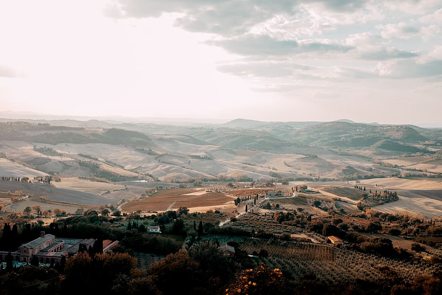 trees covered mountain, outdoors, nature, landscape, scenery HD wallpaper