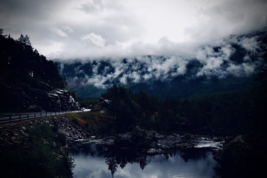 fog, river, trees, forest, norway, road, landscape, gloomy HD wallpaper