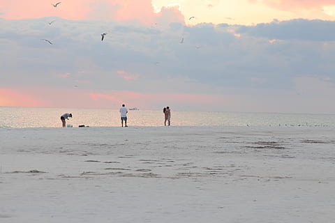 sunset, beach, love, sky, fishing, florida, siesta key, sea HD wallpaper
