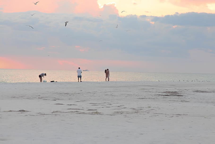 sunset, beach, love, sky, fishing, florida, siesta key, sea HD wallpaper