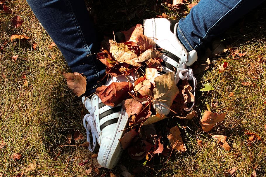 canada, toronto, fall, orange, green, white, adidas, shoes HD wallpaper