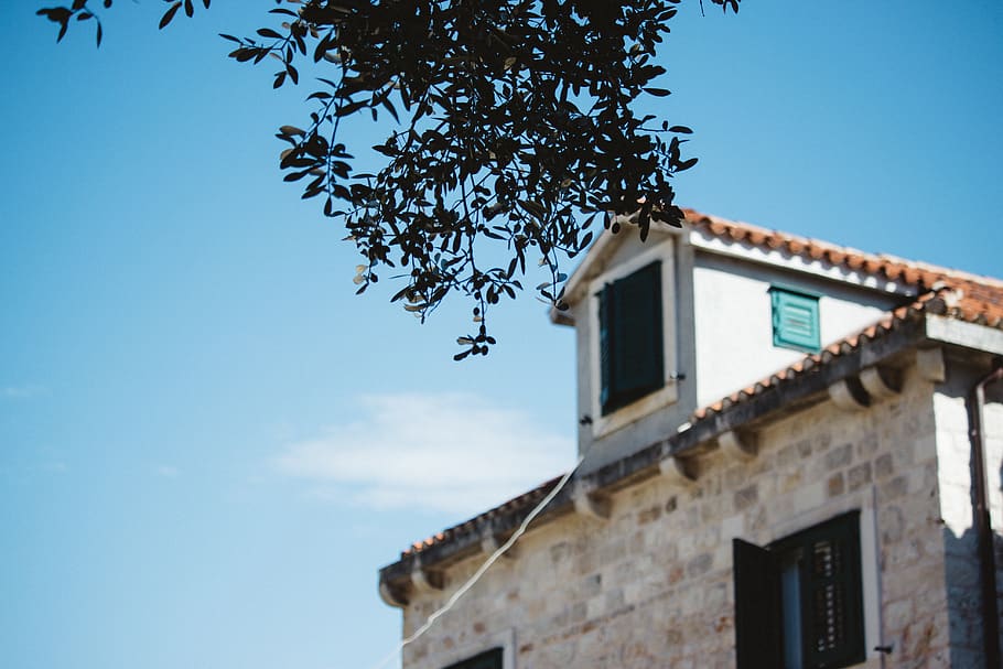 croatia, hvar, house, tree, architecture, nature, town, leaves HD wallpaper