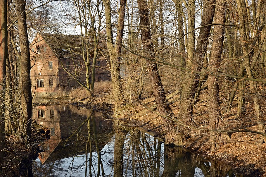 landscape, river, waters, mirroring, trees, forest, house, scrub HD wallpaper