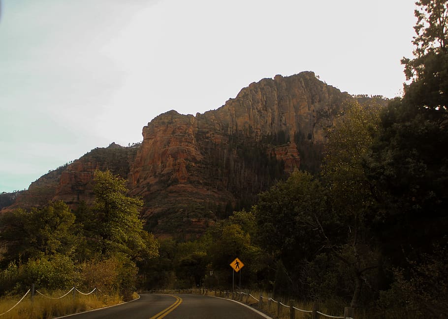 mountain surrounded by trees, arizona, highway, road, united states