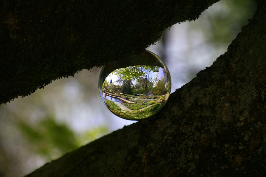 tree, world, head, glass ball, silhouettes, nature, perception HD wallpaper