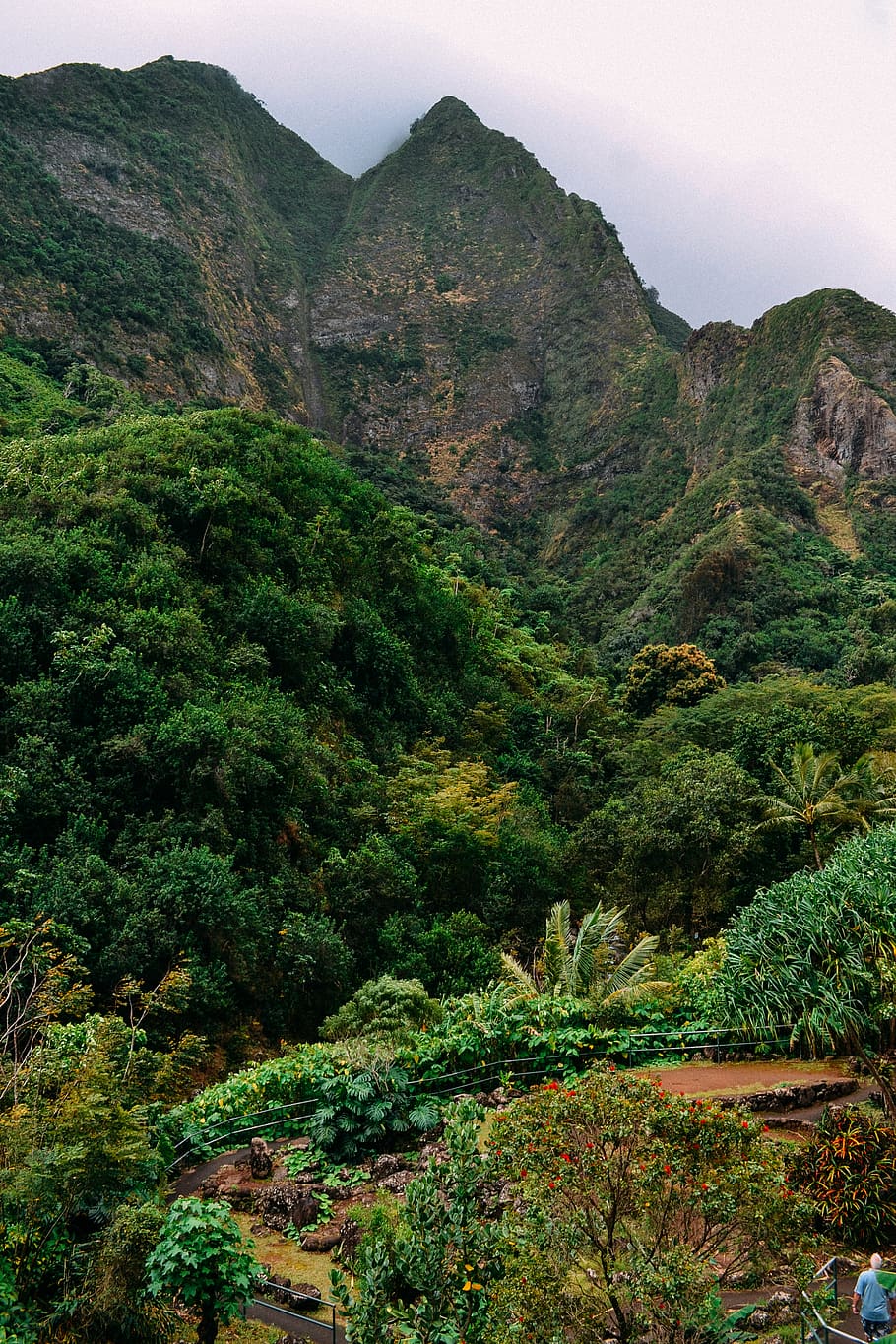 mountain, plant, scenics - nature, beauty in nature, tranquility HD wallpaper