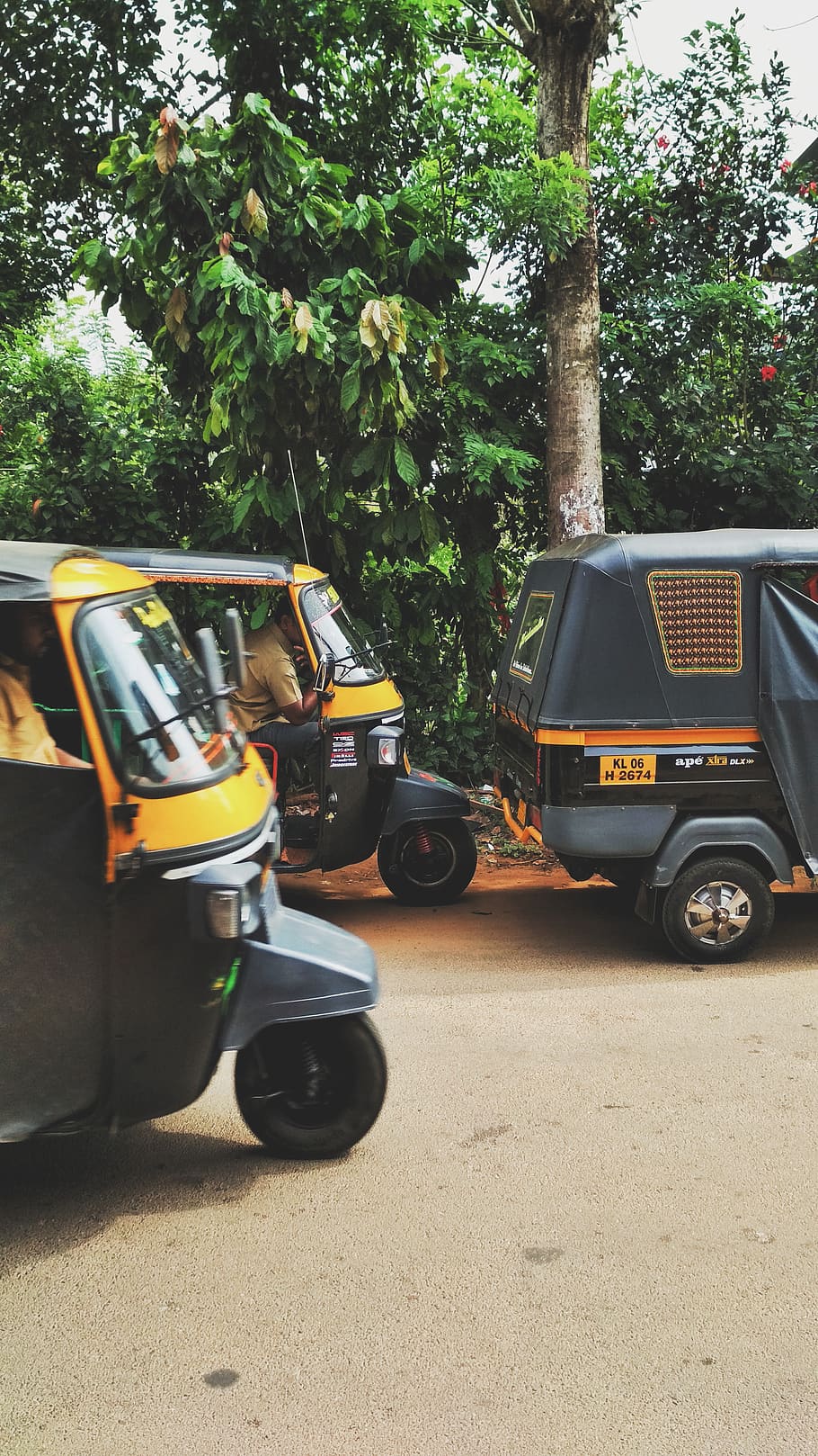 auto-rickshaw passing through tree, mode of transportation, land vehicle HD wallpaper