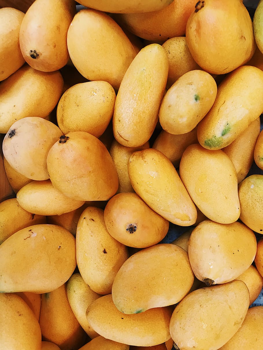 Bunch Of Mangoes, food, fruit, healthy, tropical fruit, yellow, HD wallpaper