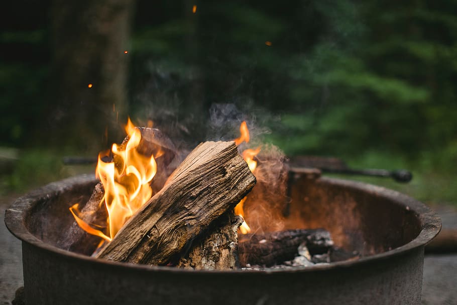 wood, fire, bonfire, campfire, trees, ash, heat, firewood, smoke HD wallpaper