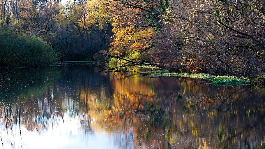 fall, forest, water, romantic, nature, landscape, reflection HD wallpaper