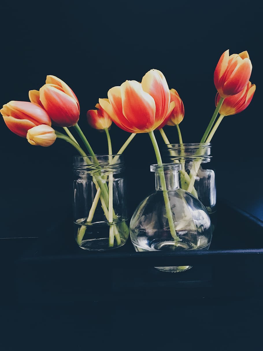 dark, table, yellow, red, flower, plant, vase, glass, jar, water HD wallpaper
