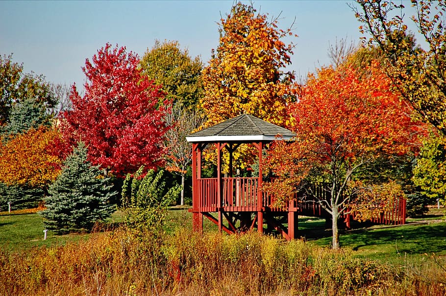 trees, gazebo, fall, nature, plant, autumn, change, growth HD wallpaper