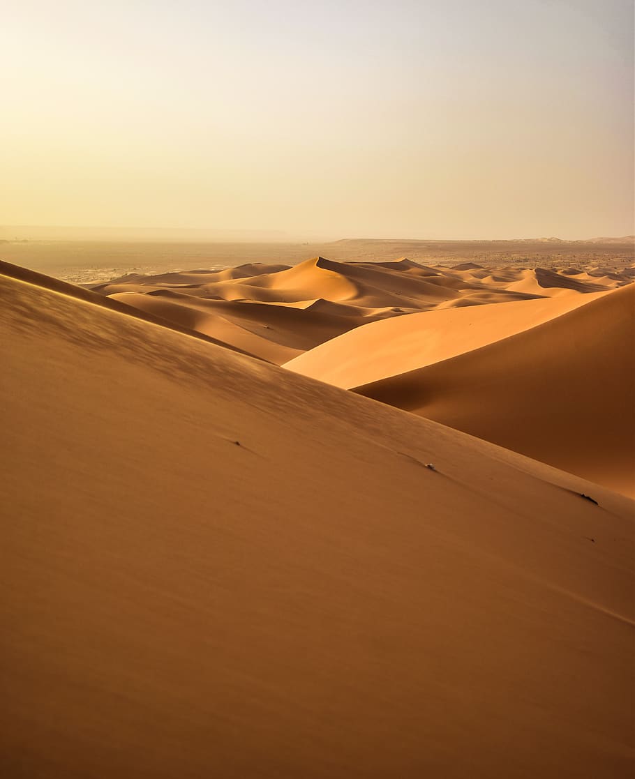 Desert, adventure, arid, dawn, dry, dune, hot, landscape, remote HD wallpaper