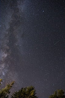cluster of stars, sky, tree, galaxy, shooting star, astrophotography HD wallpaper