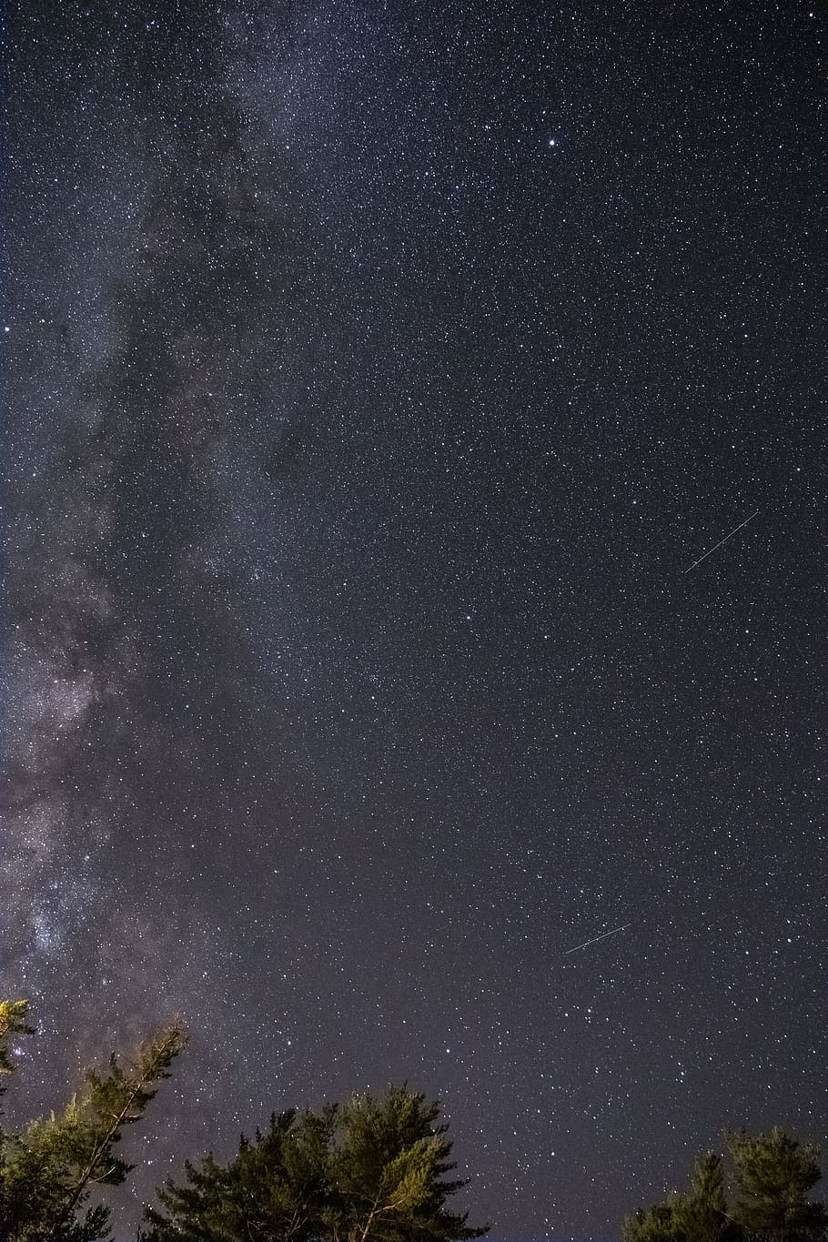 cluster of stars, sky, tree, galaxy, shooting star, astrophotography