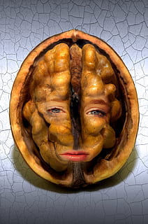 fantasy, surreal, walnut, face, female, mysterious, mystical HD wallpaper