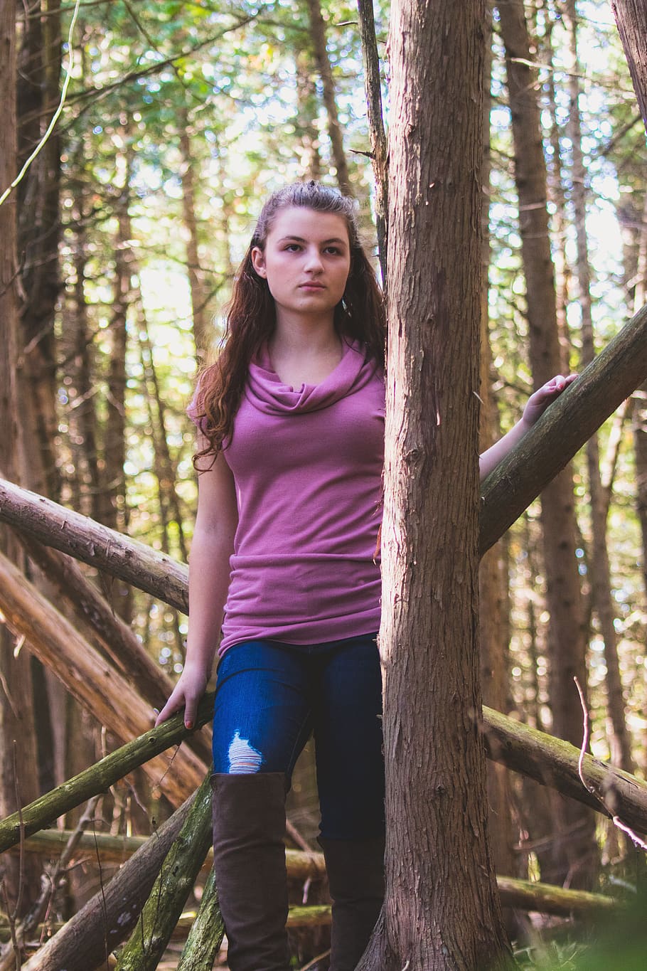 canada, uxbridge, forest, model, trees, wild, fall, nature HD wallpaper