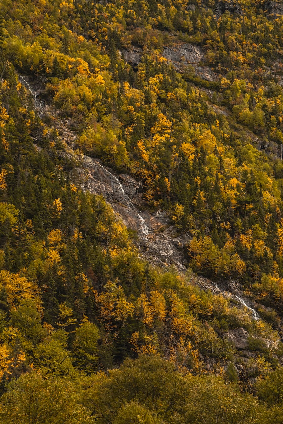 canada, quebec, waterfall, stream, woods, mountain, rier, forest HD wallpaper