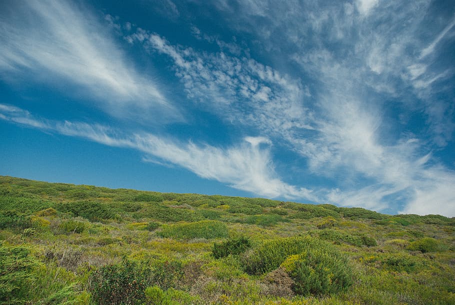 portugal, atmosphere, beautiful, balde, blue, bush, shrub, cloud, HD wallpaper