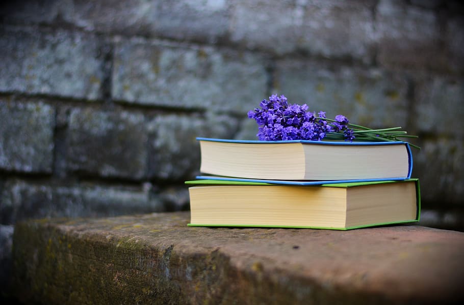 Purple Petaled Flower on Book \, bench, blur, books, color, dark