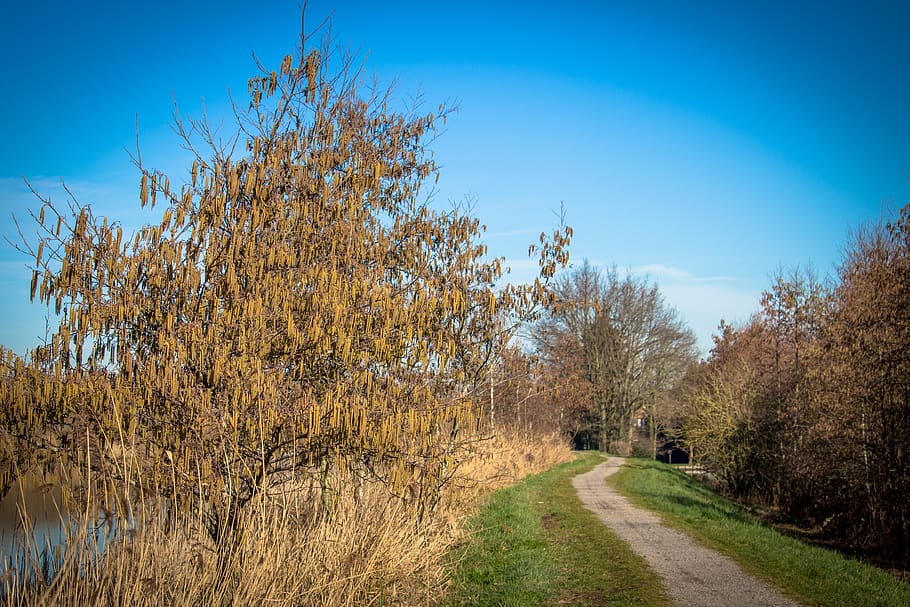 spring, water, nature, netherlands, road, holland, landscape, HD wallpaper