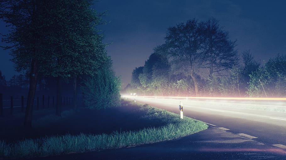 Time Lapse Photograph of Gray Road Near Trees, carlights, evening HD wallpaper