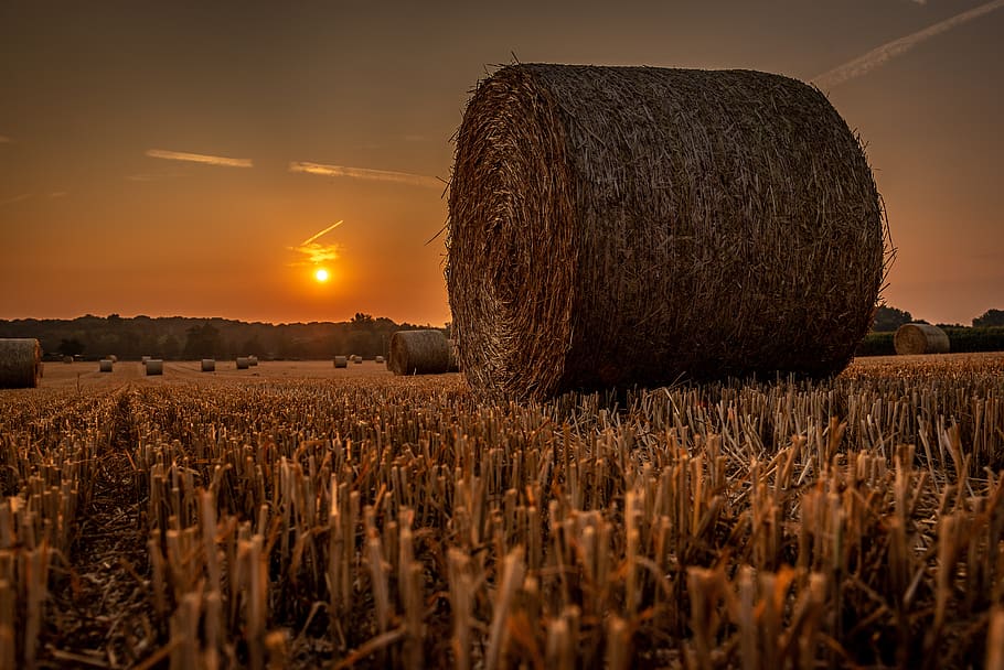 sunrise, cornfield, landscape, lighting, backlighting, straw bales HD wallpaper