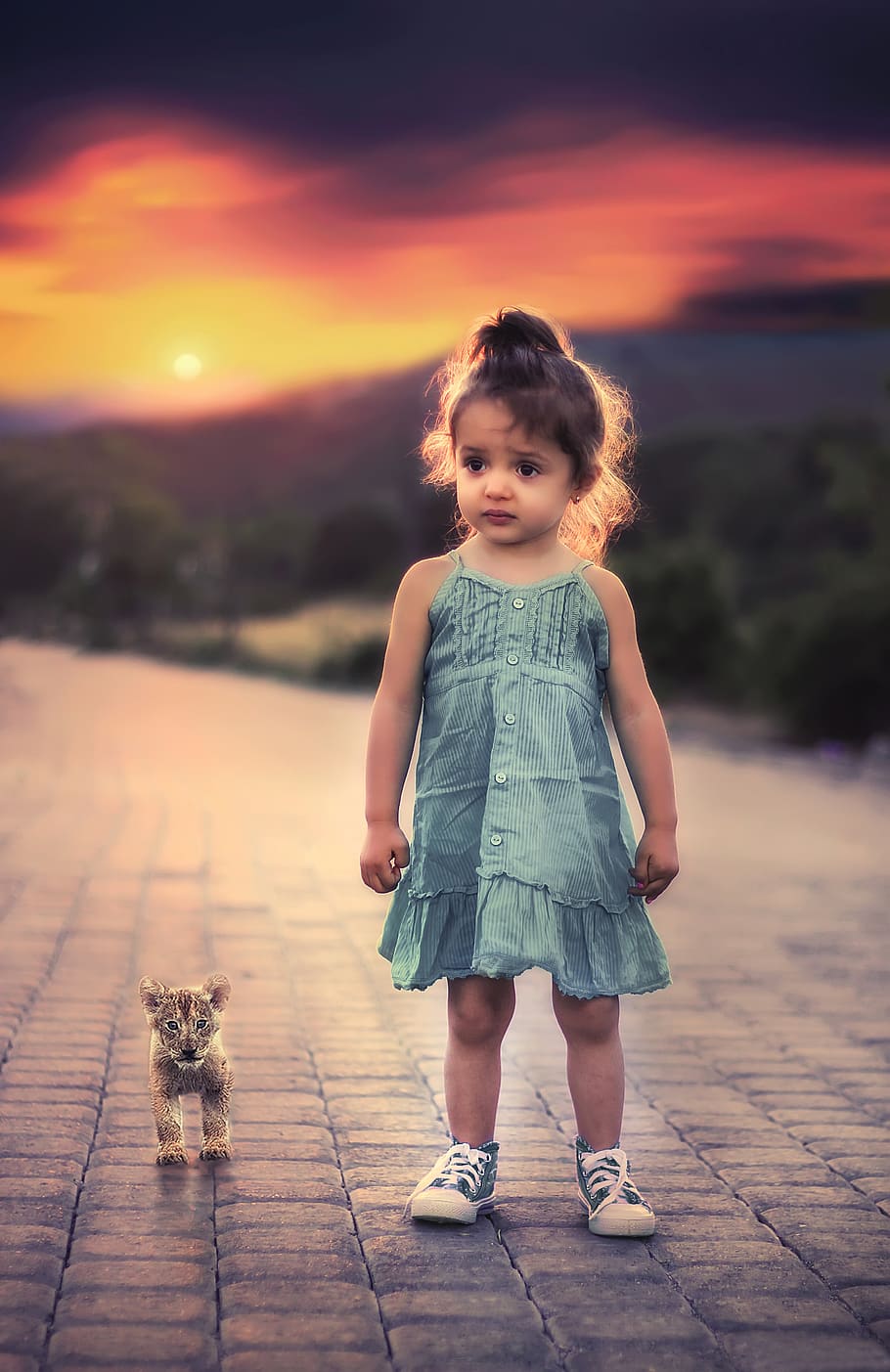 Toddler Girl Standing Beside Lion Cub, child, little, portrait
