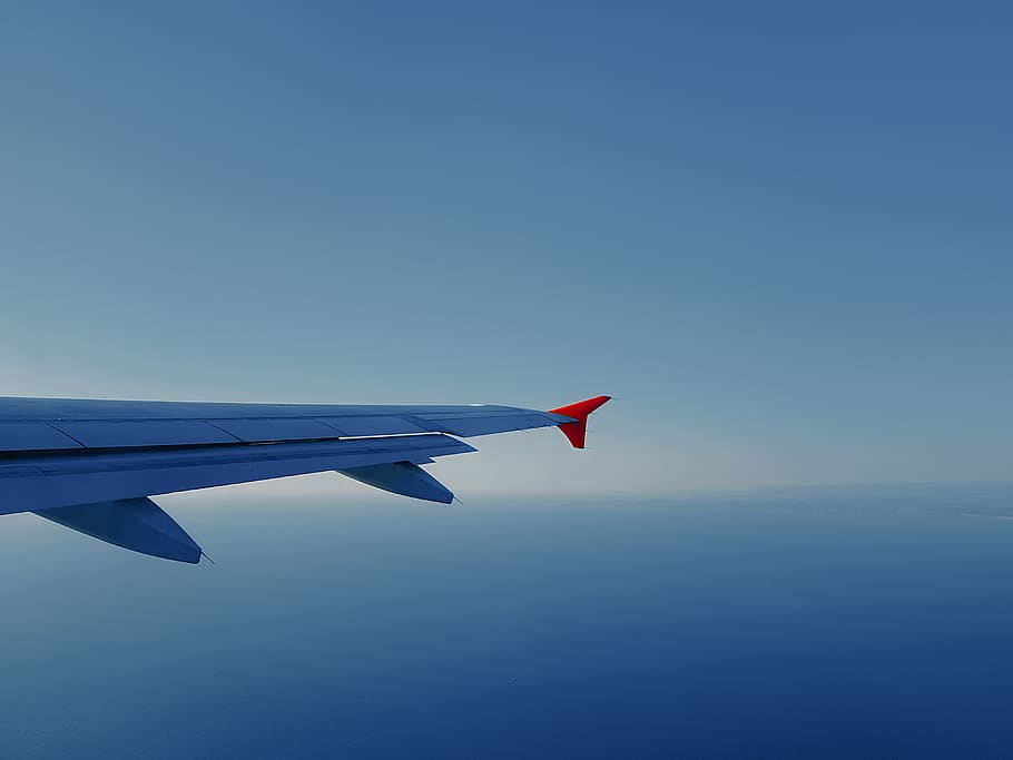 fly, sky, plane, jet, turbines, wing, flat, sea, sunrise, air vehicle HD wallpaper