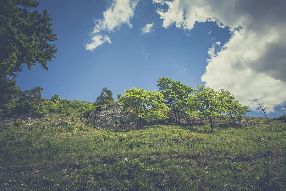 Green Leaved Trees on Hillside during Daytime, clouds, grass HD wallpaper