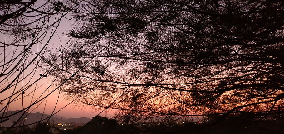 nature, outdoors, sunset, sky, dusk, red sky, dawn, silhouette HD wallpaper