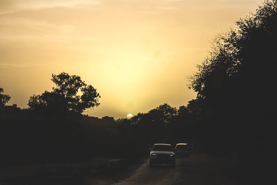 algeria, tree, car, mode of transportation, motor vehicle, plant HD wallpaper