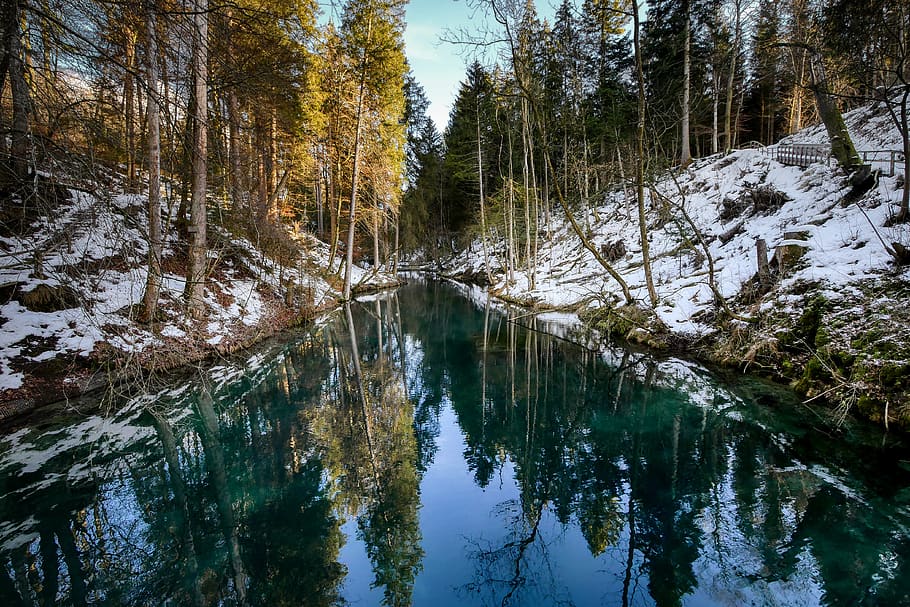 barrage, lake, forest, mirroring, snow, cold, water power, tree HD wallpaper