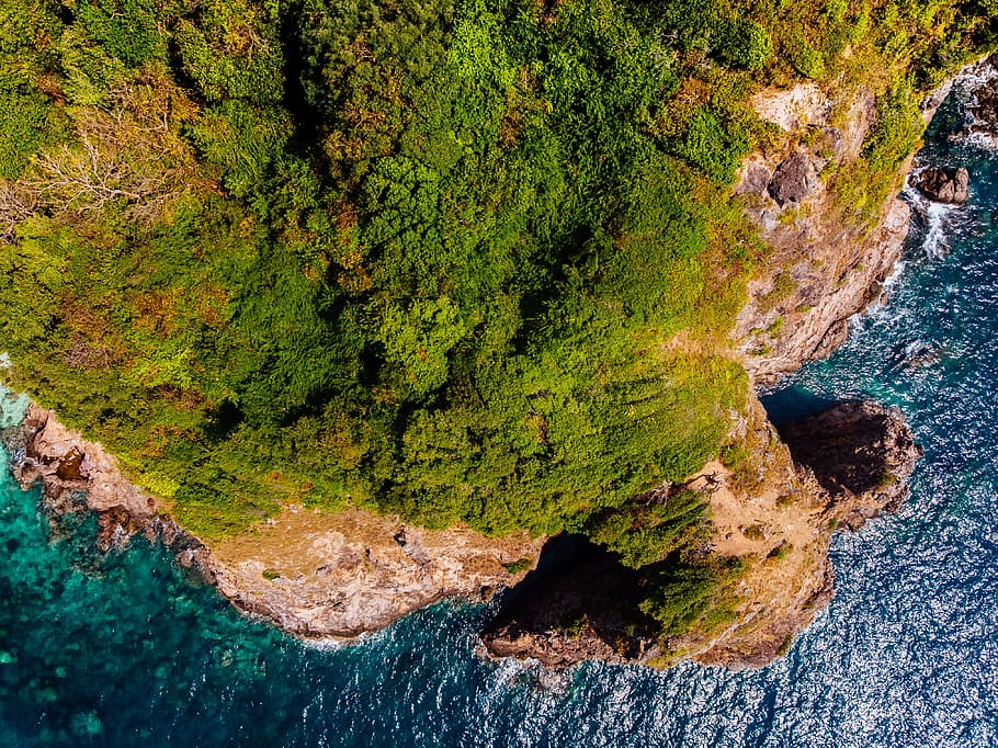 Green Leafed Trees Beside River, aerial view, blue, cliff, coast HD wallpaper