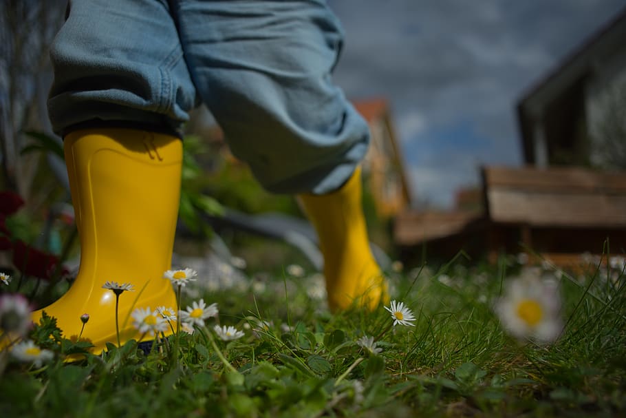 person wearing yellow rain boots during daytime, plant, grass