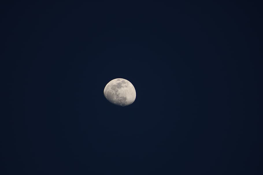 gray moon, space, astronomy, night, sky, beauty in nature, scenics - nature HD wallpaper